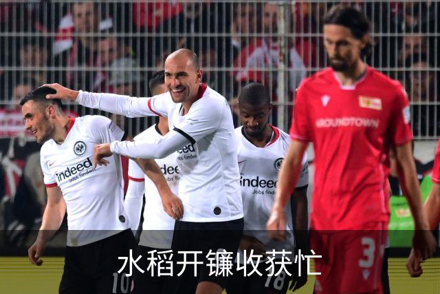 水稻开镰收获忙
